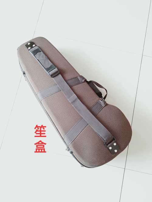 專業笙包笙盒輕體包樂器配件可背可提簧笙硬體樂器包