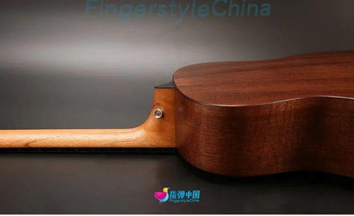 開箱 taylor這支吉他的強化琴包夠硬核