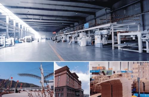 紙箱 吉林一包裝廠逆勢增長,紙箱 藥盒5月份銷量大增50