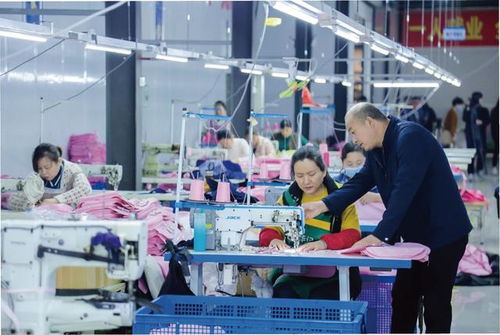 紅亮箱包廠的致富經 金融 活水 如何澆出實體經濟之花