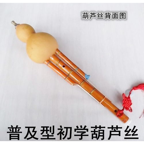 特價包郵云南葫蘆絲民族樂器鳳尾竹雙音初學練習型降b調c調葫蘆絲