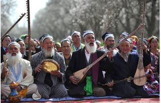 今天的主角是誰(shuí) 新疆的世界文化和自然遺產(chǎn)