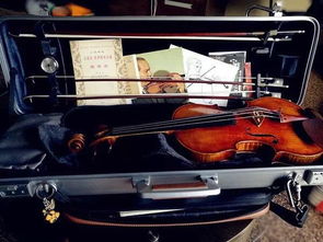 音樂口袋 你的樂器盒里有什么