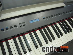 國產(chǎn)品牌電鋼琴 鍵盤技術(shù)顯著進步，音源性能尚需提升——附電子琴包搭配指南