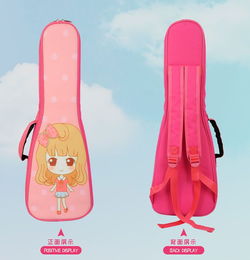 專業(yè)樂器伴侶 金川23寸尤克里里包與管樂包批發(fā)銷售全解析