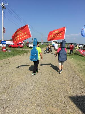 音樂節(jié)新寵 為何這款吉他包在張北一夜爆紅？